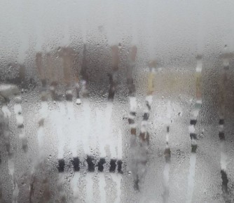 ������ �������� ����� �������� � ������