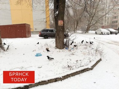 ��� �������� �������������� �������� ������� ���������