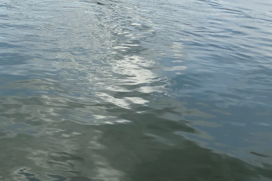 С виновника гибели 3,7 тысячи рыб потребовали миллион рублей