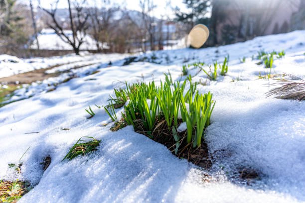 Доброе утро, жители и гости Новозыбковского городского округа!