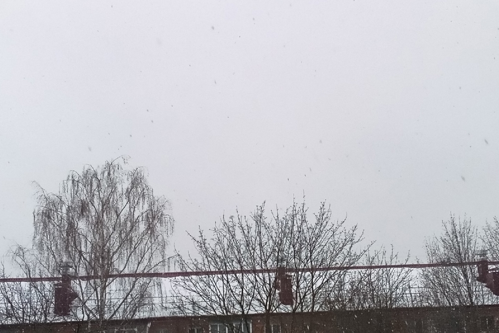 В городе Брянске утром 4 марта выли сирены