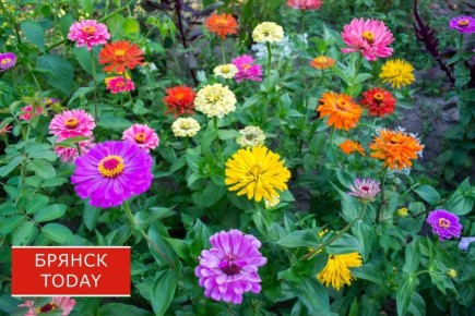 � ������� � 8 ����� ��������� ��������� �������