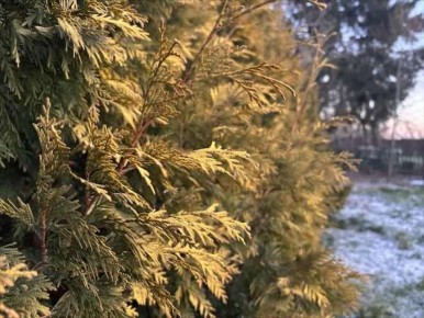 �������� � ������ � �������� ������� �� ����������� ��������