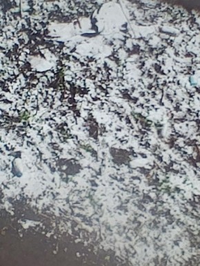 ������� ���������� �������� ���� � ������� �� �������