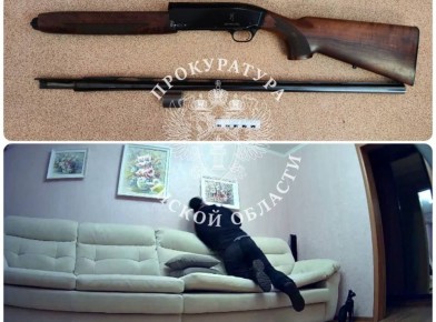 � �������� ������� �������� ������� ���������� ����� 7-������ ��������