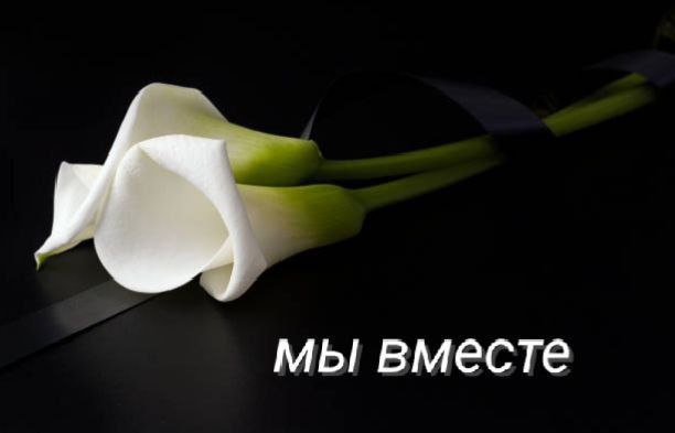 ������ ����: �������� ���� ������������� ������