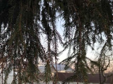 ������� ���� ����������, �� ���������� �������� ��� �������