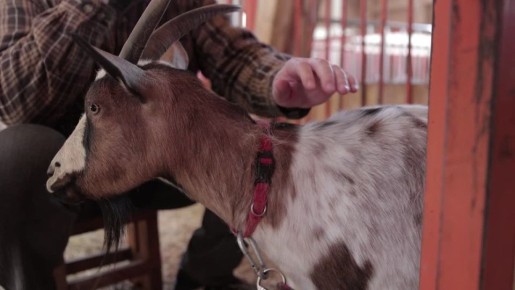 �������� ���� � ����� �������!