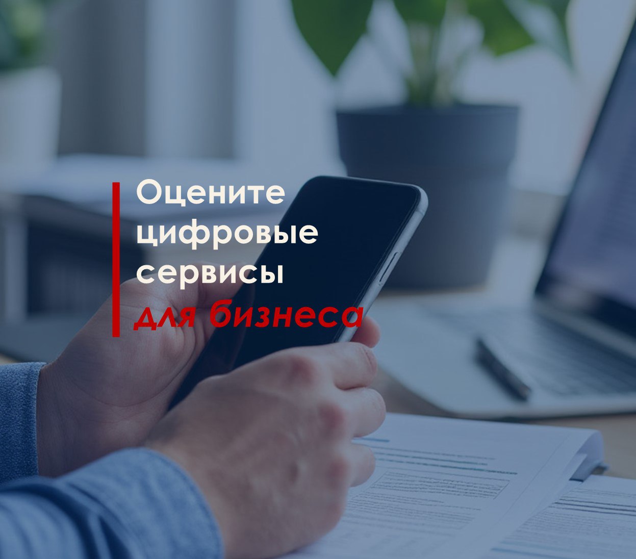 Брянские предприниматели, ваше мнение важно!