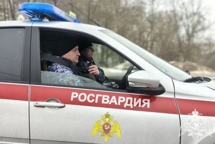 Росгвардейцы за неделю задержали более 20 правонарушителей в Брянске
