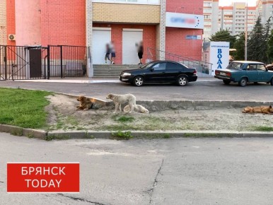 � ������� �������� �������� ����� ������������ ��������