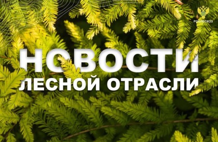 ����: ����� "��� ������" �������� ������ ������� ������������� ����� � ���