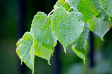 ������ � �������� ���������� 3,9 ������ �������� ��������� ����