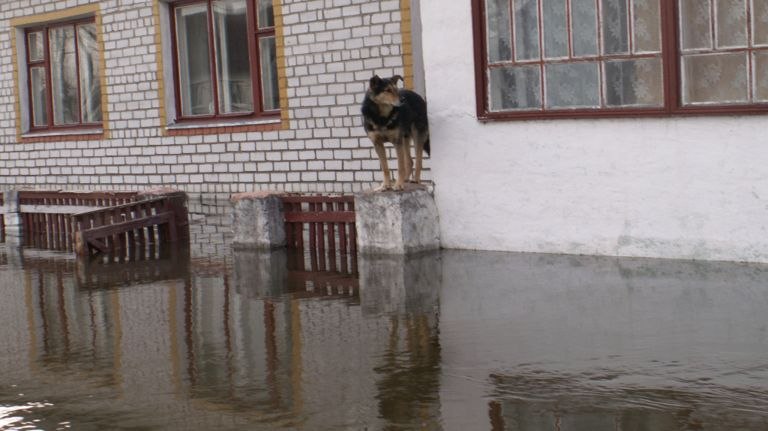 В Советском районе Брянска почти 90 домов попали в зону риска подтопления
