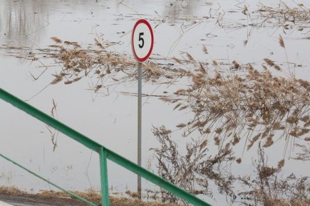 ����������� ����������, ��� ����� ������ ��������� � �������� ������� � ���� ����