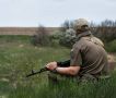 В Брянской области повысили цены на весеннюю охоту для не членов обществ
