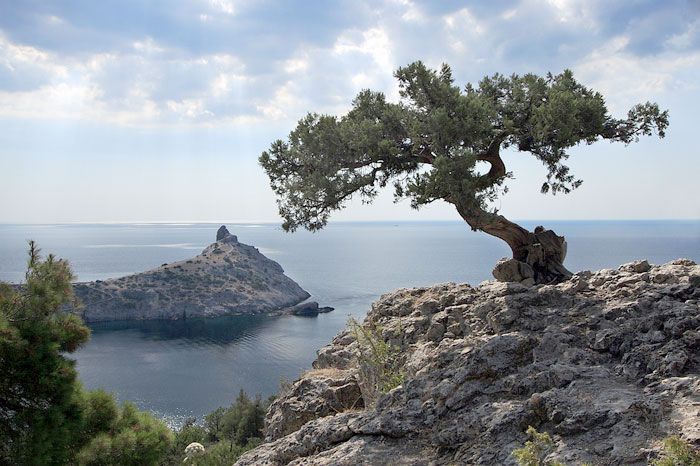 Очередная атака: над Крымом сбили вражеские беспилотники