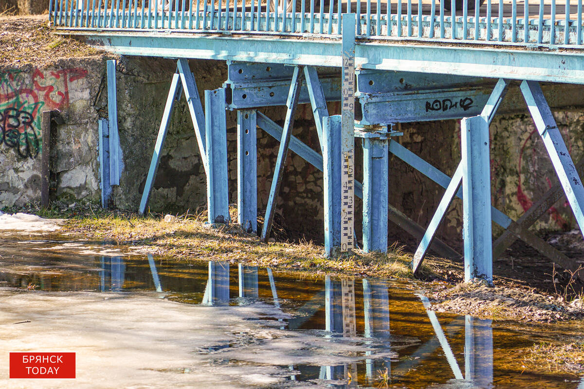 В Брянской области четыре реки вышли на пойму: уровень воды поднялся до 70 см за сутки