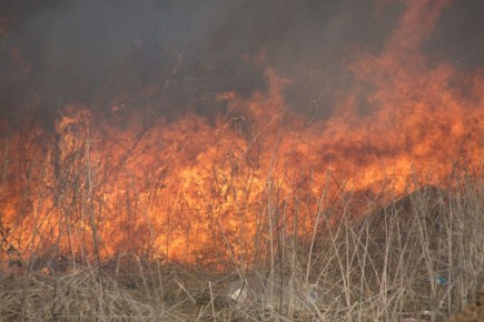 ������� �������� ���� ������� ������ ������� � �������� ������� �� 2026 ���