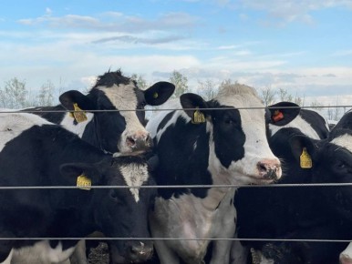 �� �������� ��������� ��������� ������ ��������� ���������