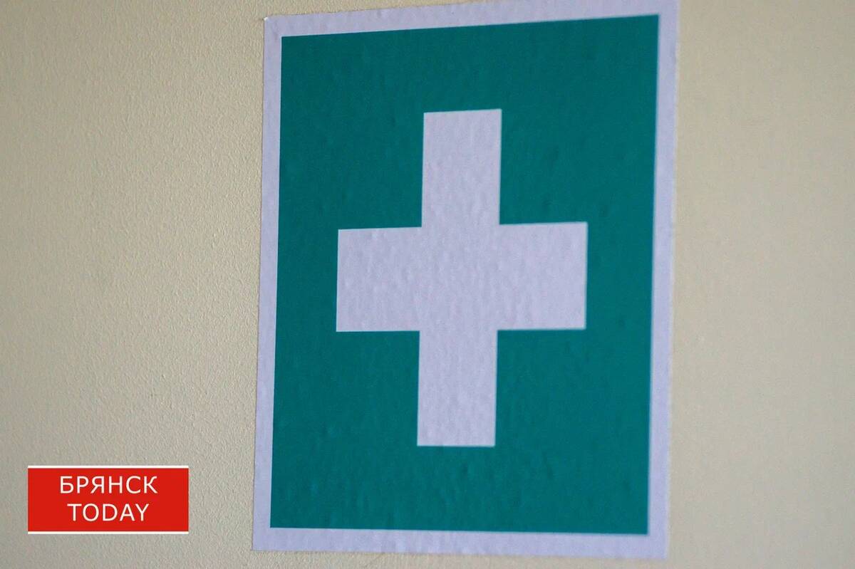 Брянцам напомнили о мерах профилактики гриппа птиц, АЧС и бешенства