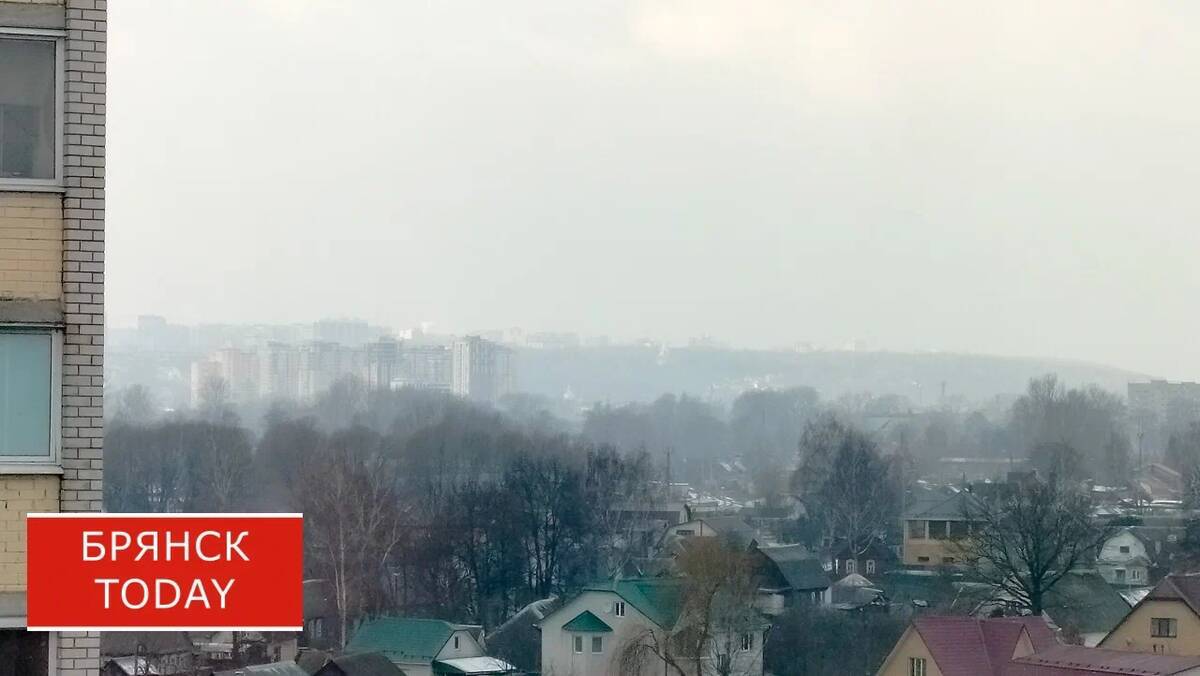 Над Брянской областью сбили 41 беспилотник