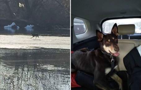 � ������� ������ ������, ������������ �� ������