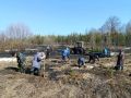 В с. Малая Топаль силами жителей в рамках субботника на территории населенного пункта проведено озеленение , высажены саженцы сосны