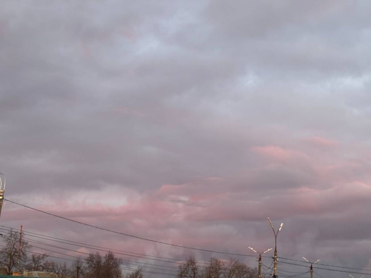 Жарко и сухо начнется неделя для брянцев