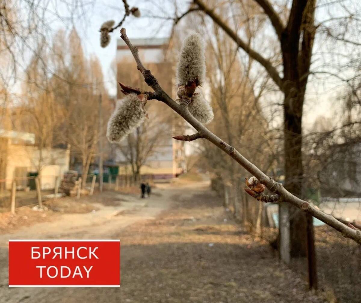 Брянцам пообещали апрель теплее климатической нормы