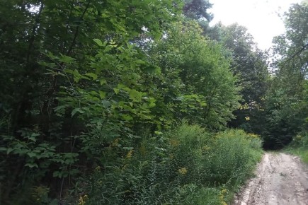 �� �������� 6 ������ �������� ������������� �����