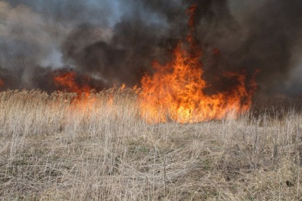 � 6 ������ � �������� ������� �������� ������������� �����