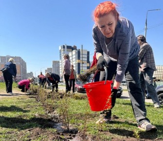 ������� �������. � ��������� ������ �� ��� �������� 2 000 ��������