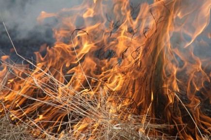 � 6 ������ �������� ������� ����� ������ ������ �� ������� ������ �� ������� ���