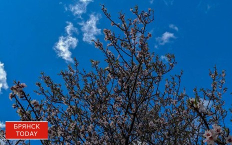 ��������� ������� ���� ������ �������� ����� � �������� �������