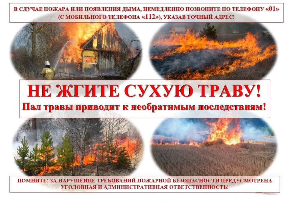 В Радице-Крыловке загорелась сухая трава