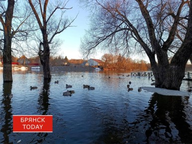 �������� ���������: � �������� ������� ��������� ������ �����