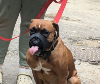 � �������� ������� �� ��� ����� 3 ����� ������� ����� �������� ������ ��������