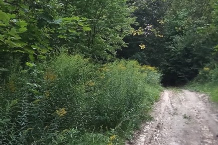 ��� ������ � ������� �������� � �������� ������� ����������� ����� 1 260 �������