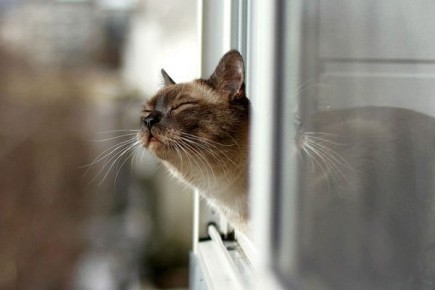 ���� �� ������! (�) ������. ������������ ������� �� 6 ������ � �������