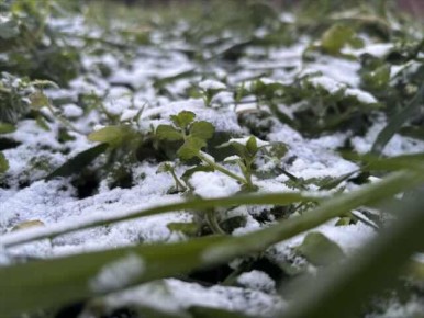 ������� ������� ������ ���� 8 ������