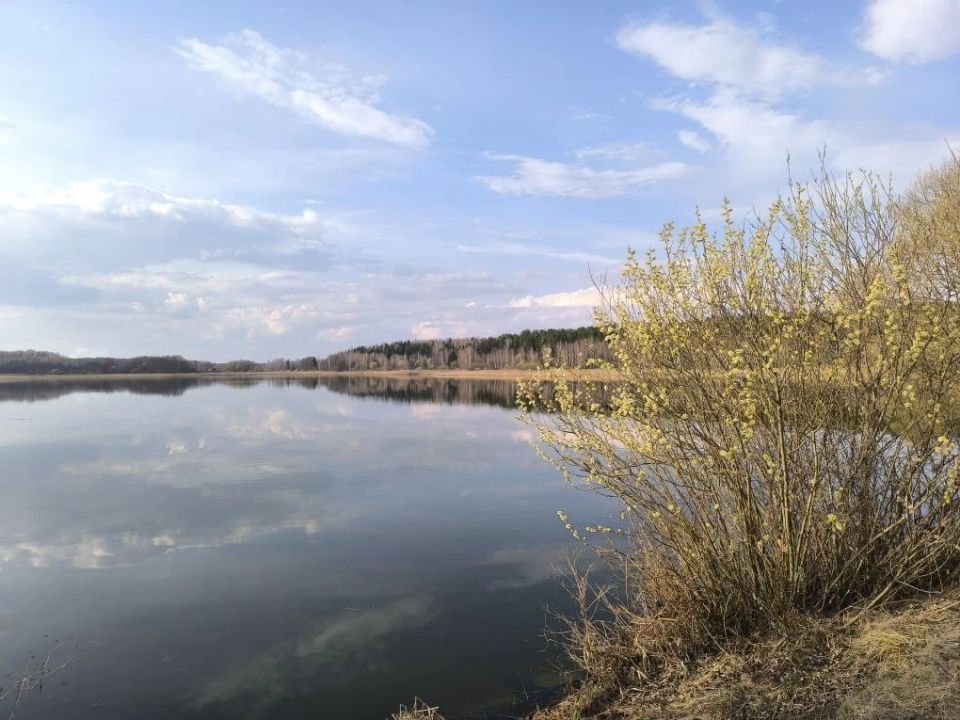 Травка зеленеет,. Солнышко блестит;