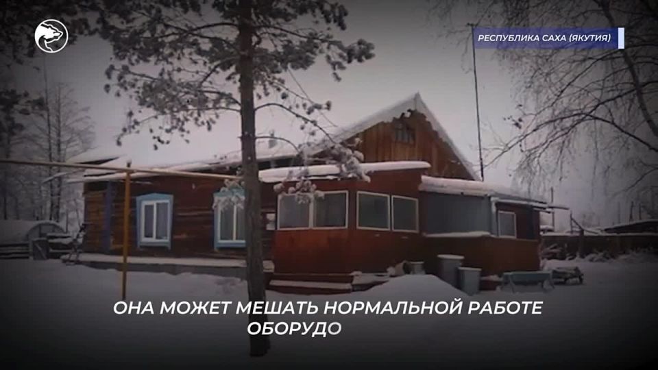 ����� ������: ��� ��� � ���� ������ ������?