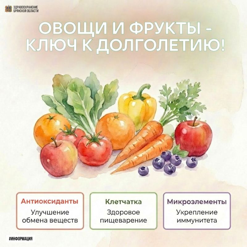 ����� � ������ � ���� � ����������