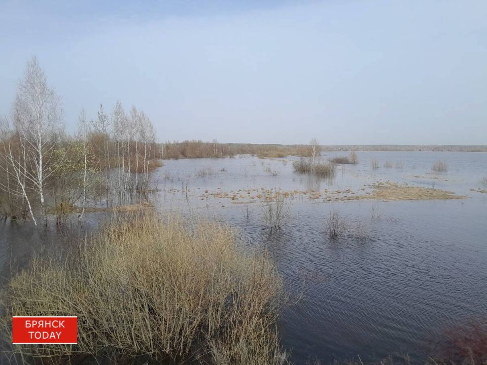 МЧС: вода отступила от автодороги в Мглинском районе