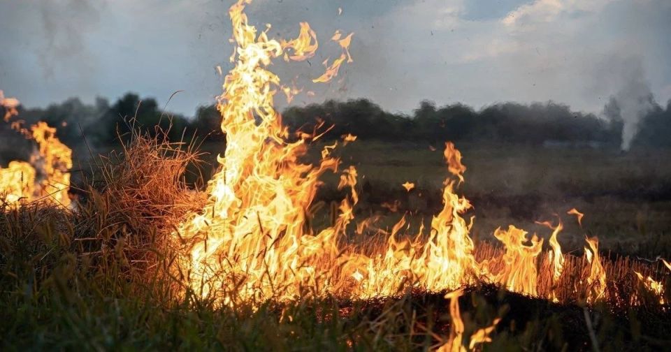 Сухая погода и длительное отсутствие осадков — благоприятные условия для распространения огня