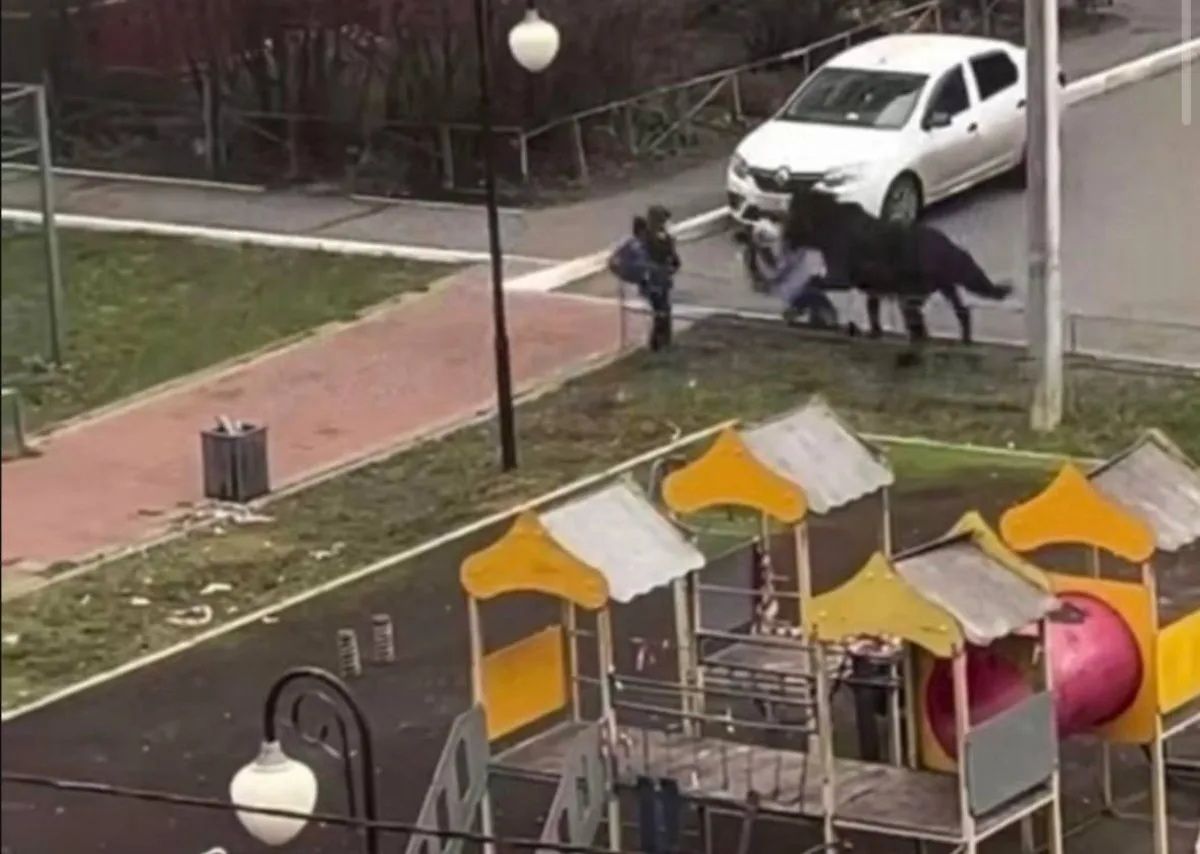 Брянский суд взыскал 30 тысяч рублей с владельца лошади, укусившей школьницу