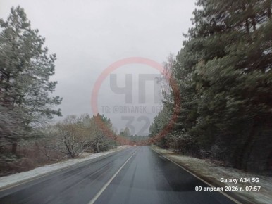 Жители Дятьковского района показали кадры апрельской зимы