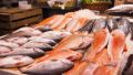 Сёмга и форель ударят по карману брянцев