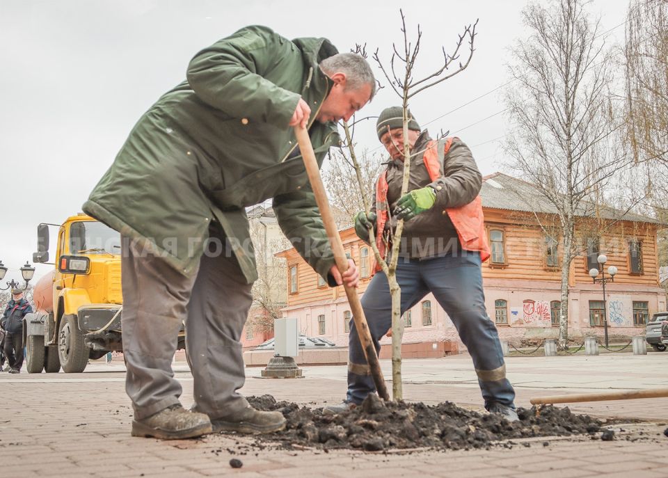 ������� �����������. �� �������� �������� � ������� �������� ����� �������